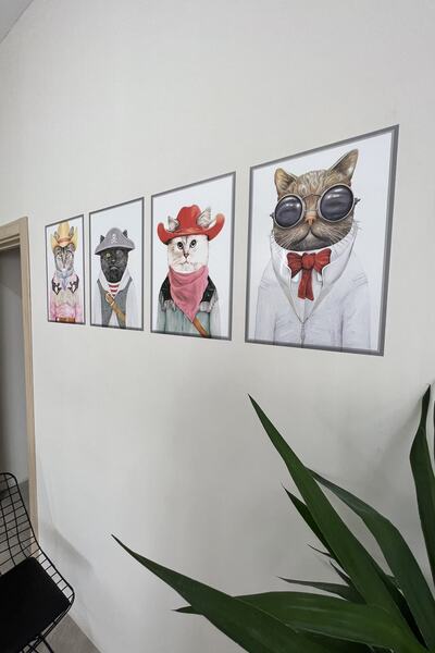 statik kağıt Çerçeve Görünümlü Statik Tutunma Özellikli 4 Lü Kediler 35 - 50 Cm