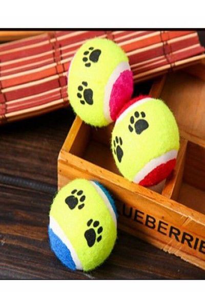 mrtbilisim Pet Training Ball Set of 3 Dog Toys 3 Dog Toys at a Time