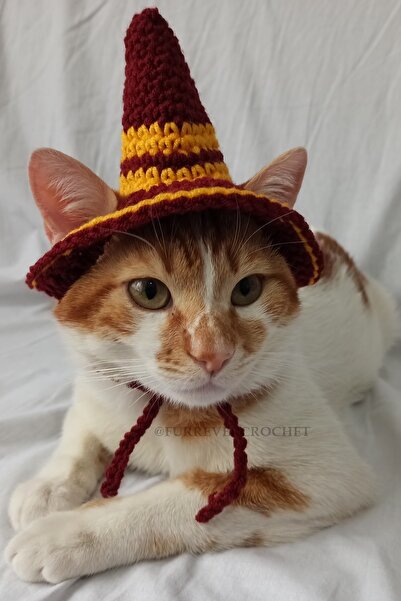 Furrever Crochet Harry Potter Hogwarts Gryffindor Cadı Şapka Örgü Kedi Köpek ...