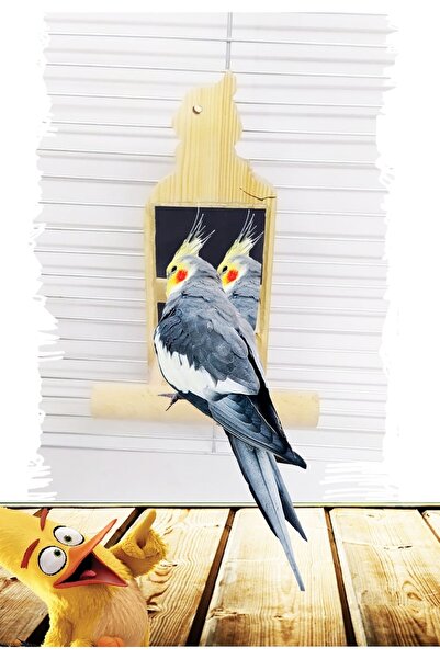 SAKAPET Doğal Ahşap Tünekli Papağan Aynası Spa02