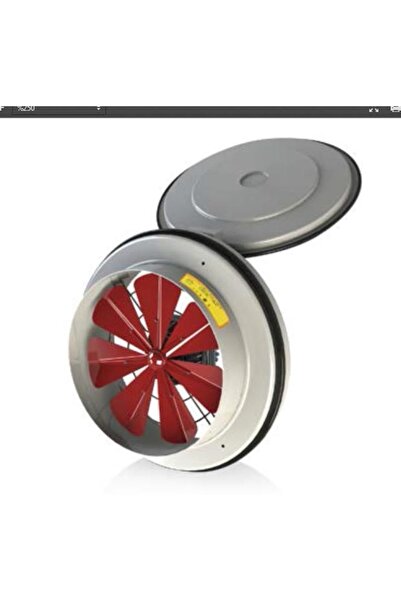 FANEXFAN Fanex Kapaklı Ve Flanşlı Aksiyal Aspiratör Havalandırma Fan 250mm