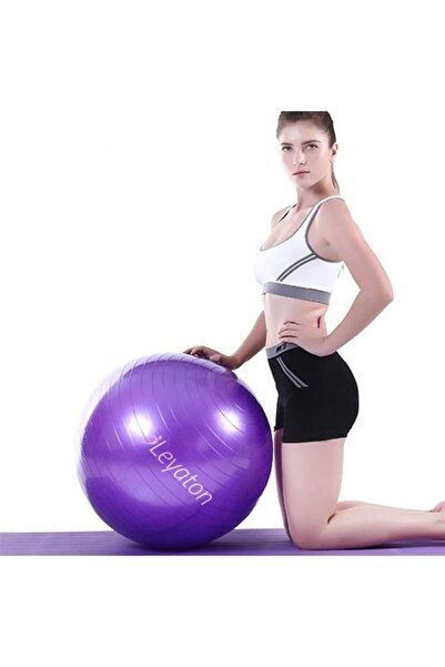 Leyaton Mor 65 cm Pilates Topu