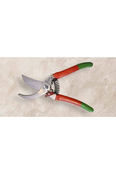 yatagan store Ligature Scissors