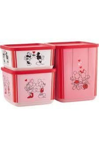 Tupperware Minnie and Mickey Themed 3 Pieces
