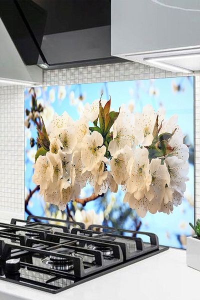 Olinpa 76X49,5 cm Glass Stove Back Protector - Countertop Built-In Back Protector |   Chocolate