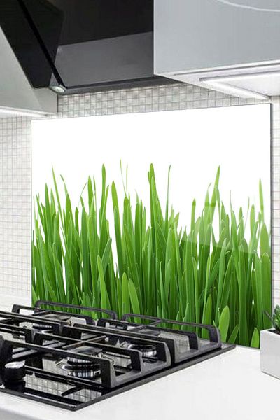 Olinpa 50X50 cm Glass Stove Back Protector - Countertop Built-In Back Protector |   Grass