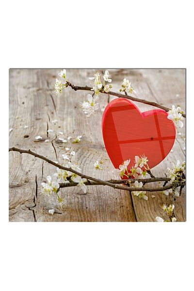 Olinpa 60X52 cm Countertop Built-In - Glass Stove Back Protector |   Heart