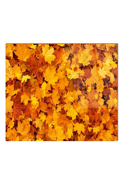 Olinpa 50X50 cm Glass Stove Back Protector Countertop Built-In Back Protector |   Autumn Leaf