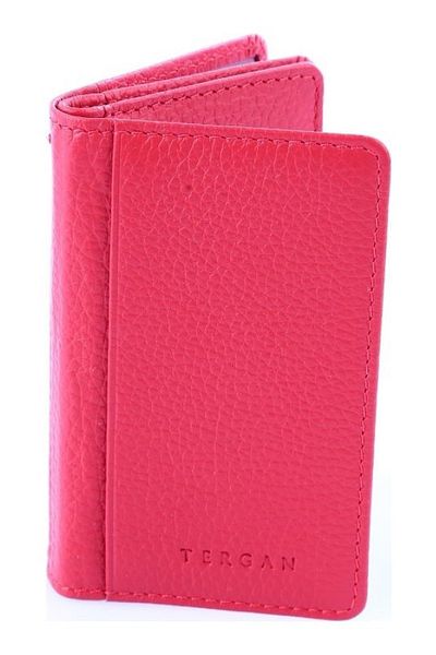 Tergan 1601 Model Credit Card Holder