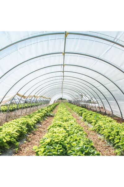 VATANPLASTİK 36 Aylık Sera Naylonu 350 Mikron Uv-ab-eva Katkılı 11x25