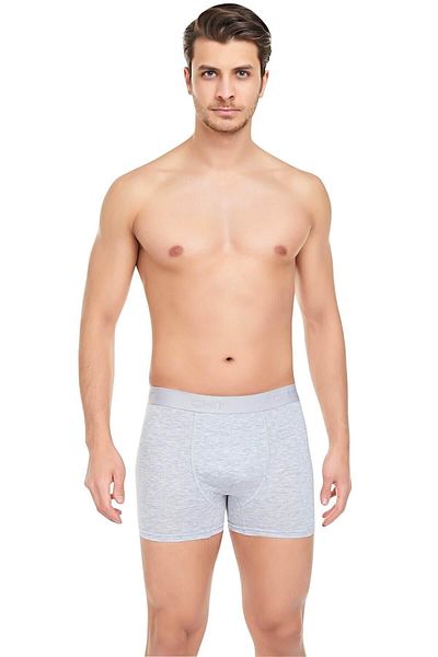CNT Men's Gray Lycra Skinny Boxers