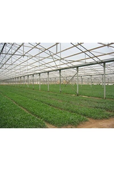 VATANPLASTİK 36 Aylık Sera Naylonu 350 Mikron Uv-ab-eva Katkılı En 14