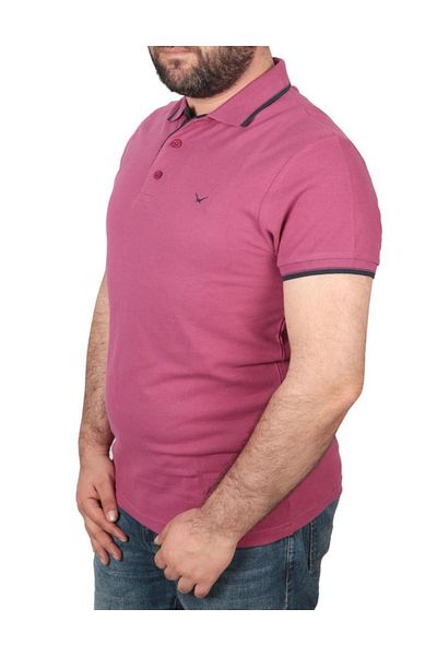Cazador Ανδρικό μπλουζάκι με πέτο 4614