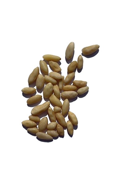 TAZEM KURUYEMİŞ Fıstık Dolmalık 500 G