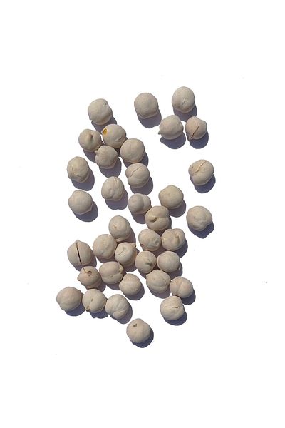 TAZEM KURUYEMİŞ White Chickpeas 500 g (Vacuum)
