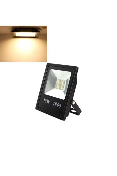Lambax 30w Watt Günışığı Bahçe Led Aydınlatma Çim Projektörü+fiş