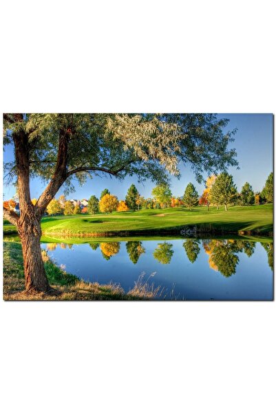 Cakatablo Yeşil Çayırlar Durgun Göl Ve Söğüt Ağacı (25x35 Cm Boyut)