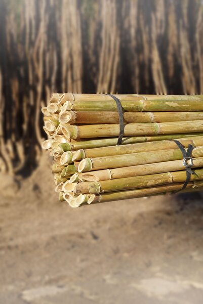 Arel Tarım Kargı (240 Cm) – Bitki Destek Çubuğu