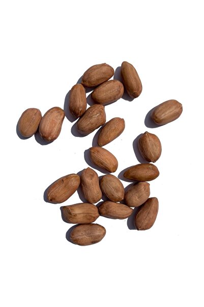 TAZEM KURUYEMİŞ Fıstık Çiğ 500 G