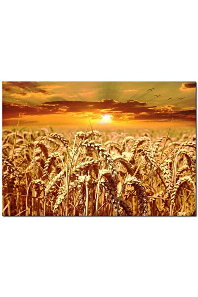 Cakatablo Μαγειρεμένα Σταχτάρια Σιταριού και Ηλιοβασίλεμα (Μέγεθος 25x35 εκ.)