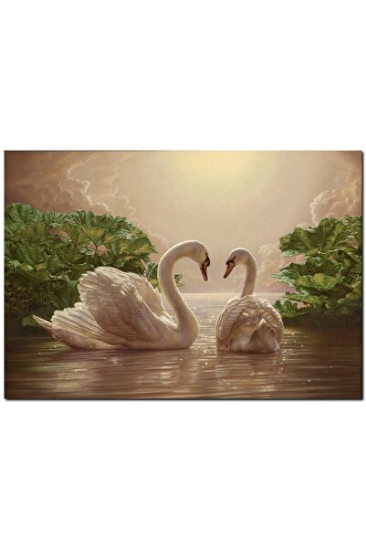 Cakatablo Pair of White Swans in Gold Color Water (35X50 cm Size)