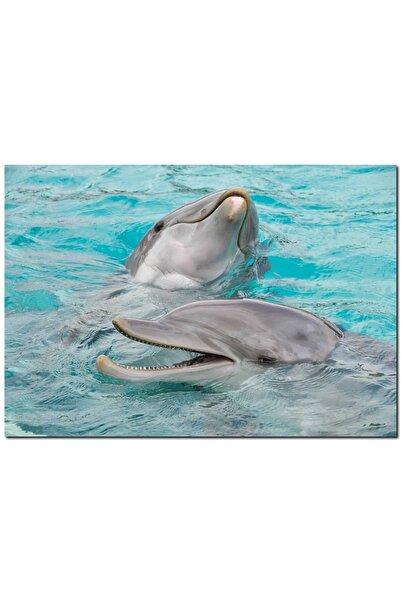 Cakatablo Sevimli Yunuslar Suda Oynuyor (25x35 Cm Boyut)