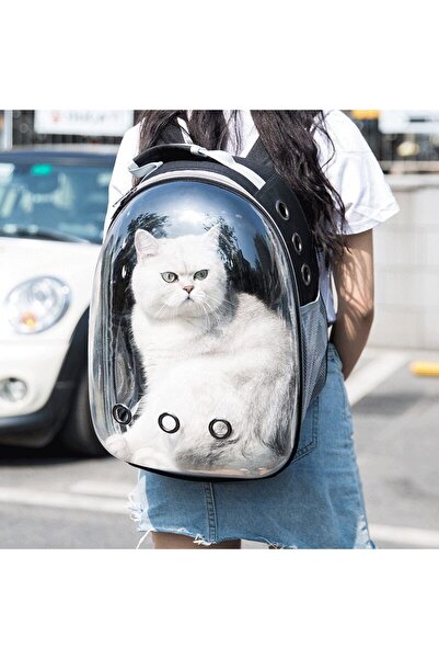 Tina Fileli Açılabilir Şeffaf Astronot Kedi Köpek Evcil Hayvan Taşıma Çantası...