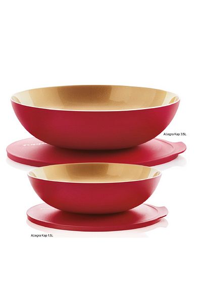 Tupperware Berrak Red Gold 1.5 Lt and 3.5 Lt Set