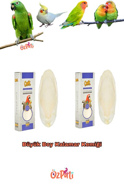 Quik Mürekkep Balığı Kemiği ( Kalamar ) Büyük Boy 2 Adet