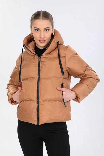 DYNAMO Jacke - Gold - Regular Fit