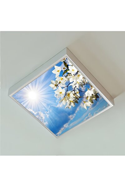 Gökyüzü Panel 60x60 Led-54watt-trendyol Avize-yatak Odası-tavan Avize-beyaz-t...