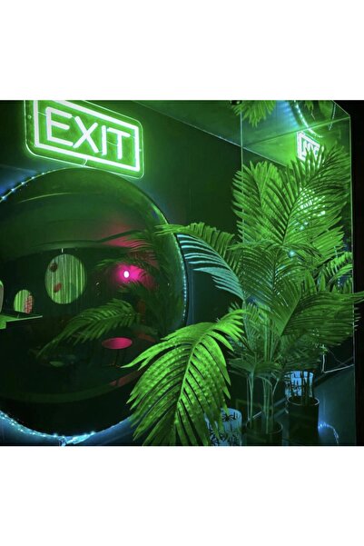 TuransoyCraft Exıt Çıkış Neon Tabela 20x40cm