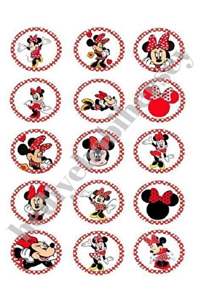 hediyehobihersey Yenilebilir Pasta Resmi Kurabiye Baskısı Pirinç Kağıdı Minni...