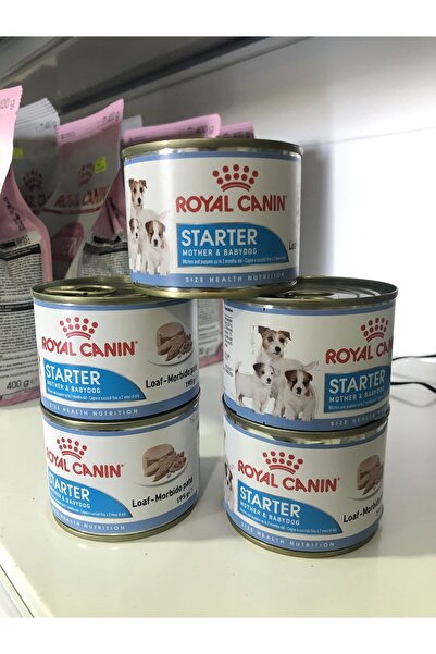 Royal Canin Starter Mother&babydog Mousse 5x195gr