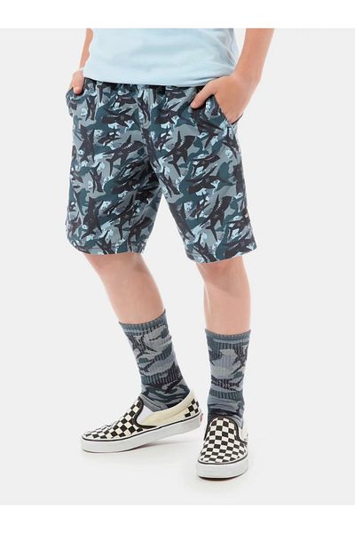 Vans shorts outlet kids Brown