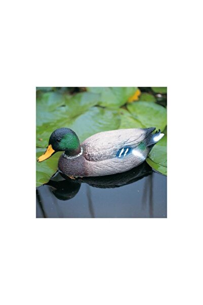 Havuzdayim Poolline Papia Yüzer Tip Yeşil Başlı Ördek, Mühre