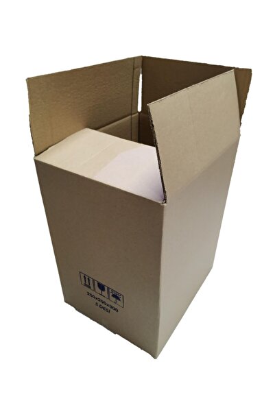 ÇELİKPENÇE 5 Desi Çift Oluklu Karton Koli 30x20x25 cm 20 Adet