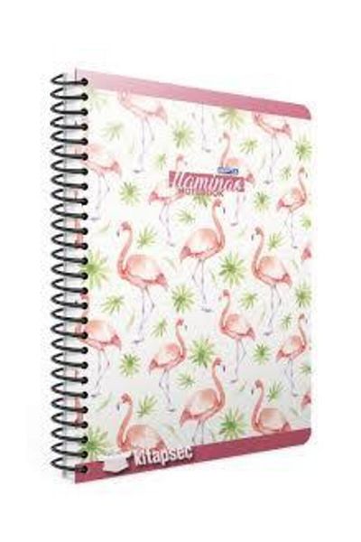 Gıpta 4173 Copertă din carton spiralat Flamingo 17x24 100 Yp Caiet cu rigle