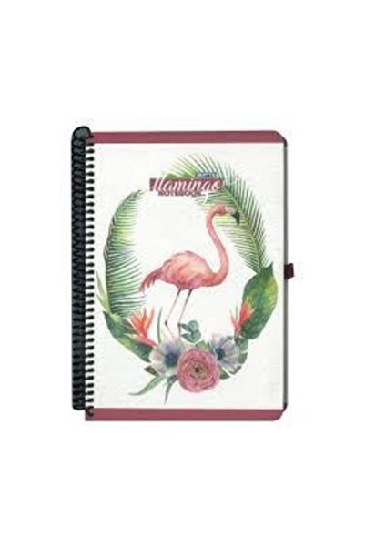 Gıpta 4173 Copertă din carton spiralat Flamingo 17x24 100 Yp Caiet cu rigle