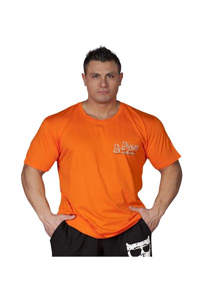 Big Sam Men's Summer Thin Sports T-shirt 2579