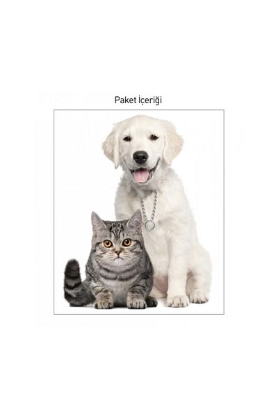 Artikel Friendship Giant Wall Sticker
