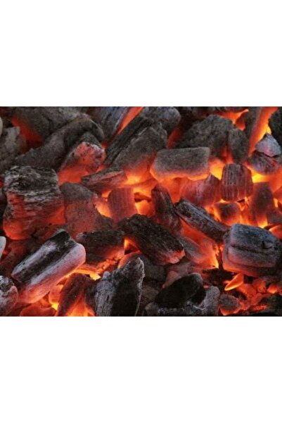 Bahat Tozsuz Orjinal Çatalca Meşe Büyük Parça Mangal Kömürü 10 Kg