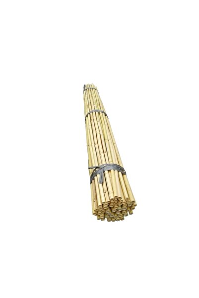 Fidan Sahası Fidan Destek Çubuğu Kamış 180-190 Cm Boy (5'li Paket)