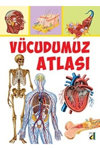 Damla Yayınevi Vücudumuz Atlası