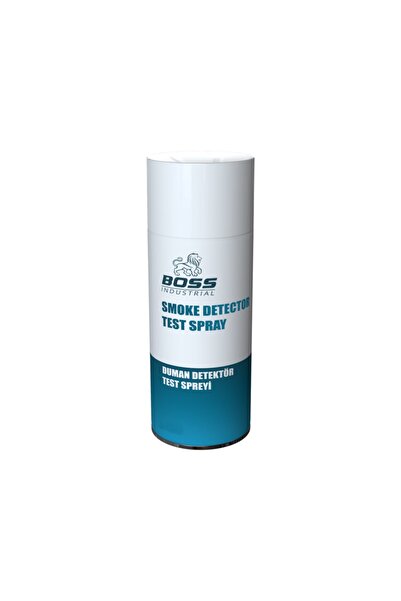 Detektör Test Spray