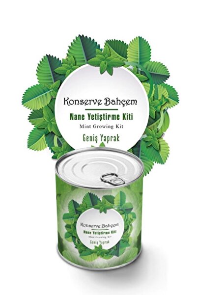 Peppermint Growing Kit - Vegetable Seedling Growing Kit Peppermint Seed And Peat Set