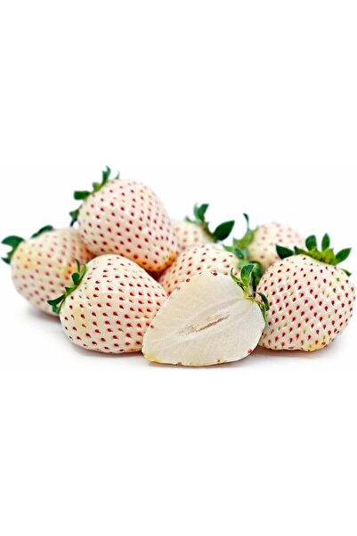 FarmLife Tohum 20 Adet Beyaz Çilek Tohumu