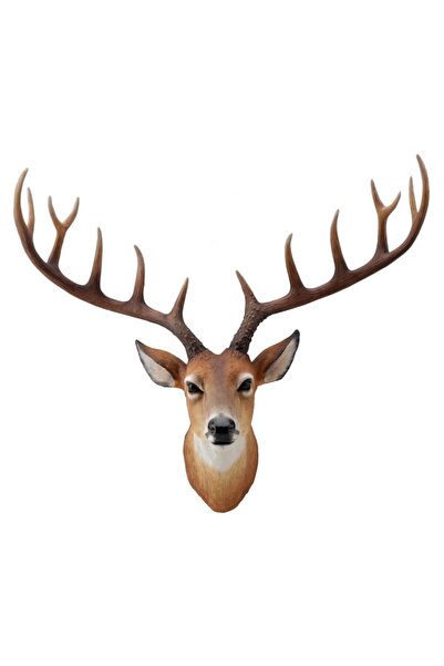 Genel Markalar Wise – Geyik Kafası Dekoratif Obje 49×21×44 CM