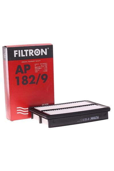 Filtron فلتر هواء AP182/9 Hyundai Tucson (04-10)/كايا سبورتاج 2.0 (04-)