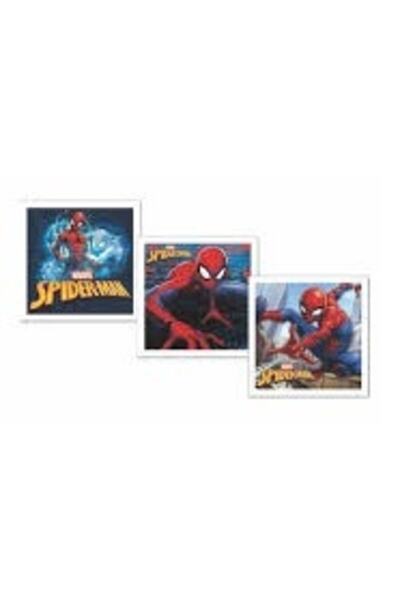 KESKİN COLOR Spıderman Doğum Günü Kart Zarf